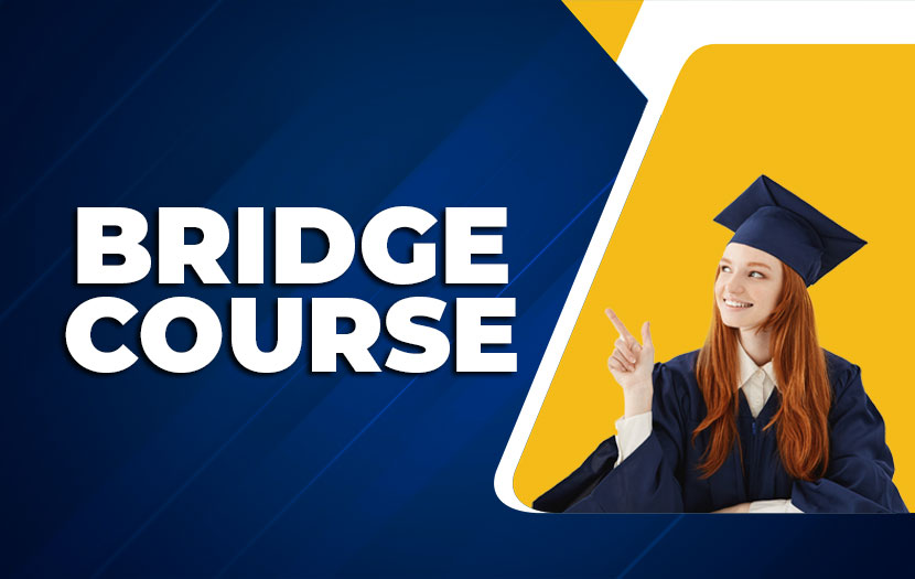 Bridge Course_Single